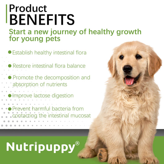 Dog Probiotic Powder Supplement - Supports Digestive Health&Relieves Diarrhea,Boosts Immune System for Puppy Adult Senior Dogs