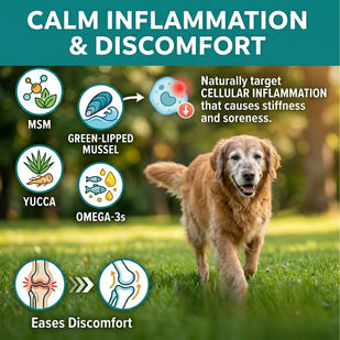 Calm Inflammation & Discomfort