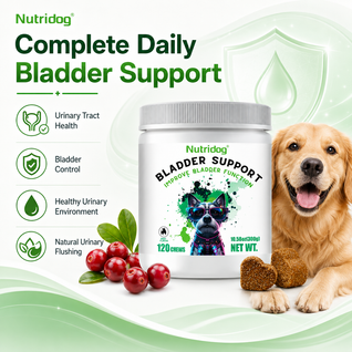 Nutridog Cranberry Bladder & Urinary Tract Support Chews for Dogs - 120 Soft Chews