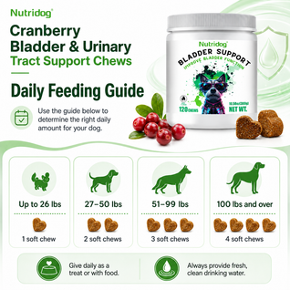 Nutridog Cranberry Bladder & Urinary Tract Support Chews for Dogs - 120 Soft Chews
