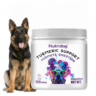 Nutridog Turmeric Curcumin Joint & Gut Support Chews for Dogs - 120 Count