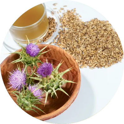 Silactive Milk Thistle Extract